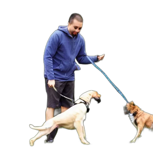 staff, animal, weapon, umbrella transparent PNG cut-out