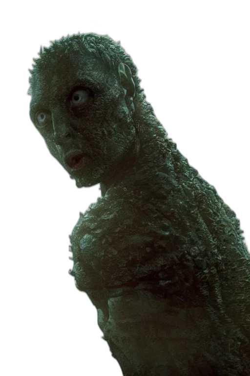 creature, animal, face, mask transparent PNG cut-out