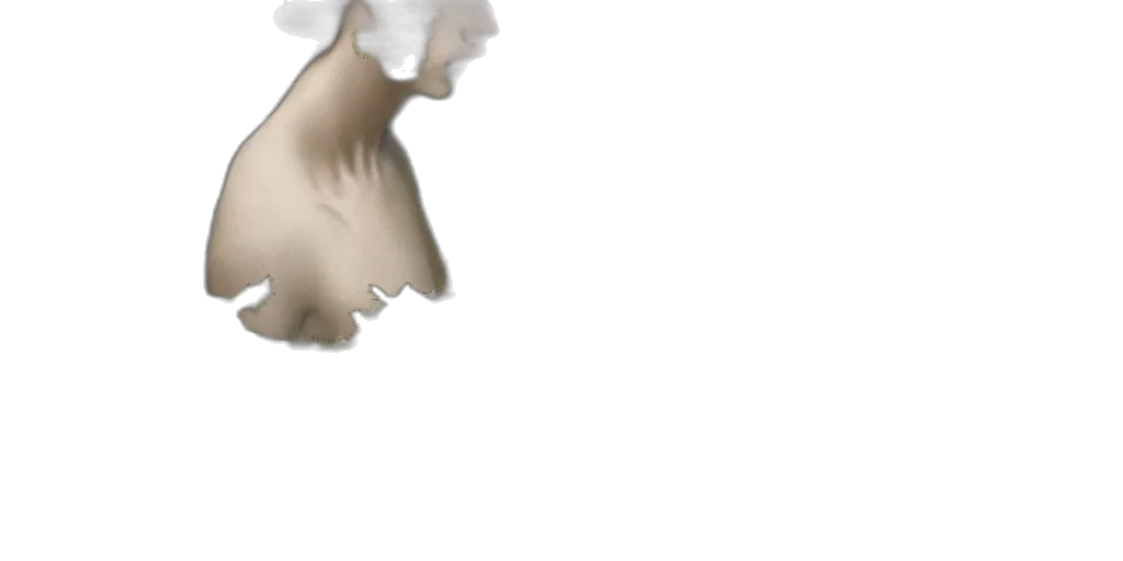 mask, hair, crown, face transparent PNG cut-out