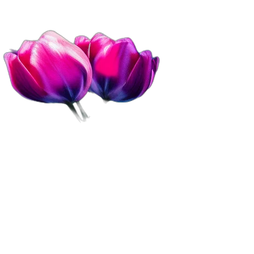 flower, crown, jewelry, staff transparent PNG cut-out