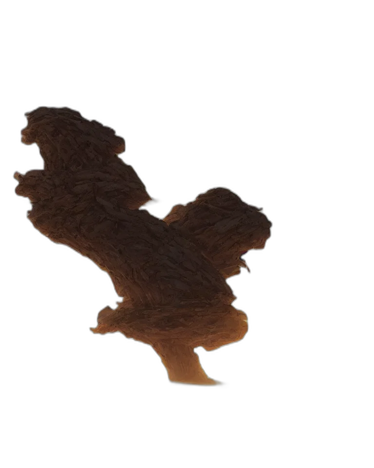 food, hair, dragon, crown transparent PNG cut-out