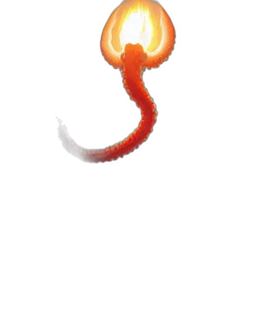 staff, dragon, weapon, creature transparent PNG cut-out