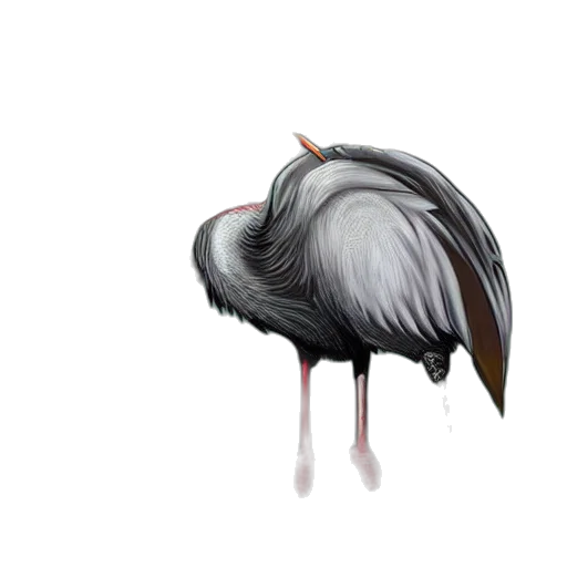 animal, creature, hair, jacket transparent PNG cut-out