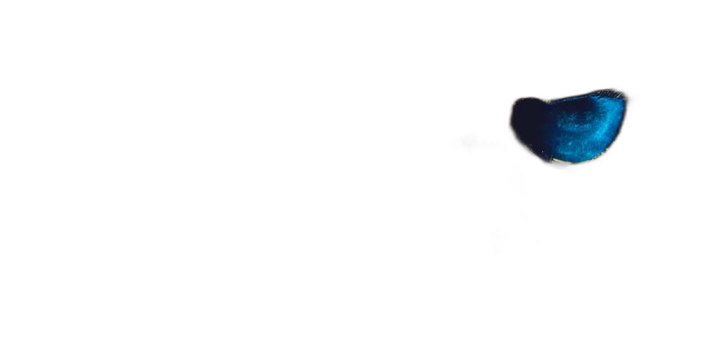 hat, staff, mask, face transparent PNG cut-out