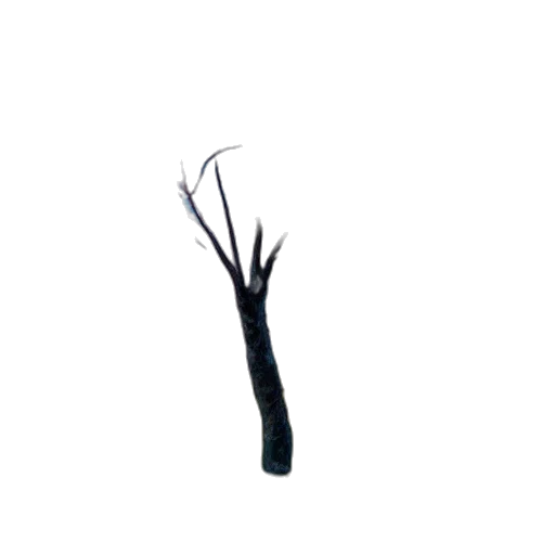 staff, hair, weapon, crown transparent PNG cut-out