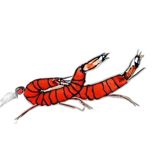 animal, dragon, creature, staff transparent PNG cut-out