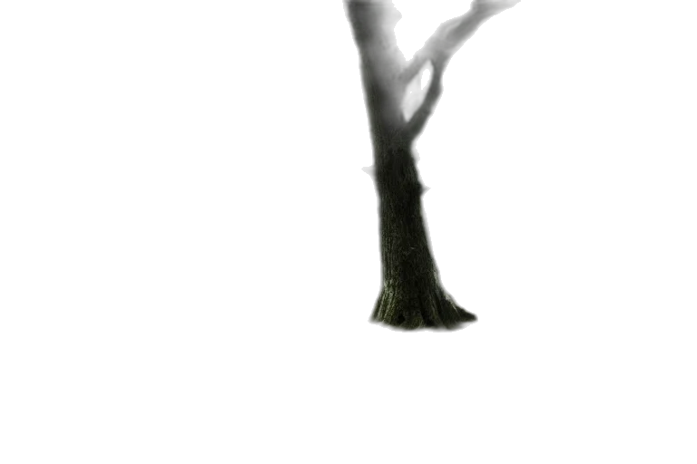 tree, creature, staff, crown transparent PNG cut-out