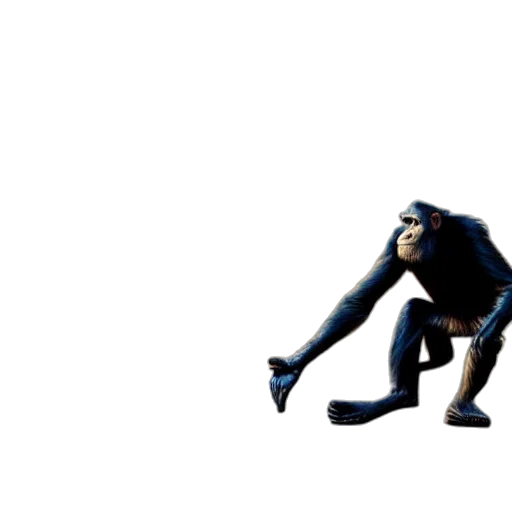 creature, robot, animal, jacket transparent PNG cut-out