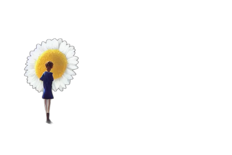 flower, umbrella, dress, crown transparent PNG cut-out