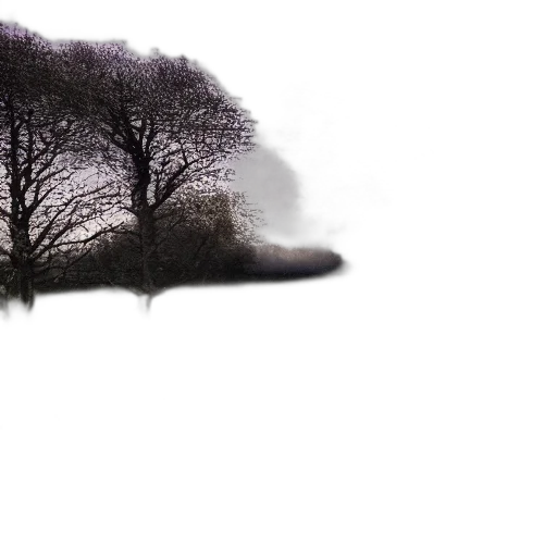 tree, hair, umbrella, hat transparent PNG cut-out