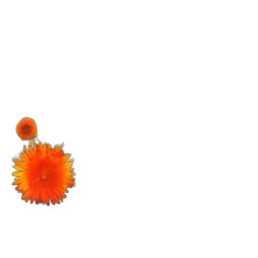 flower, crown, weapon, staff transparent PNG cut-out