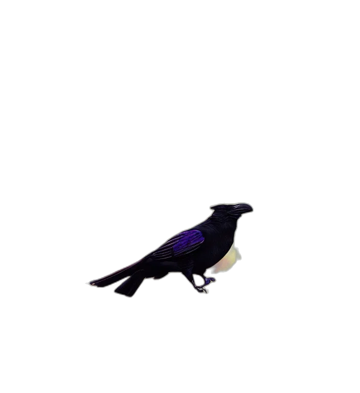 animal, creature, staff, hat transparent PNG cut-out