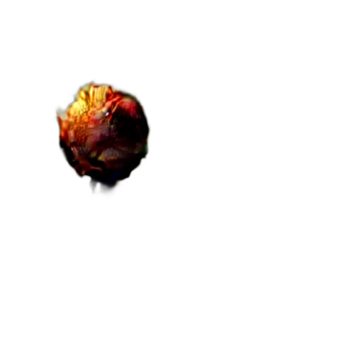 food, crown, flower, tree transparent PNG cut-out