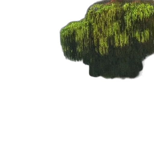 tree, crown, hat, hair transparent PNG cut-out