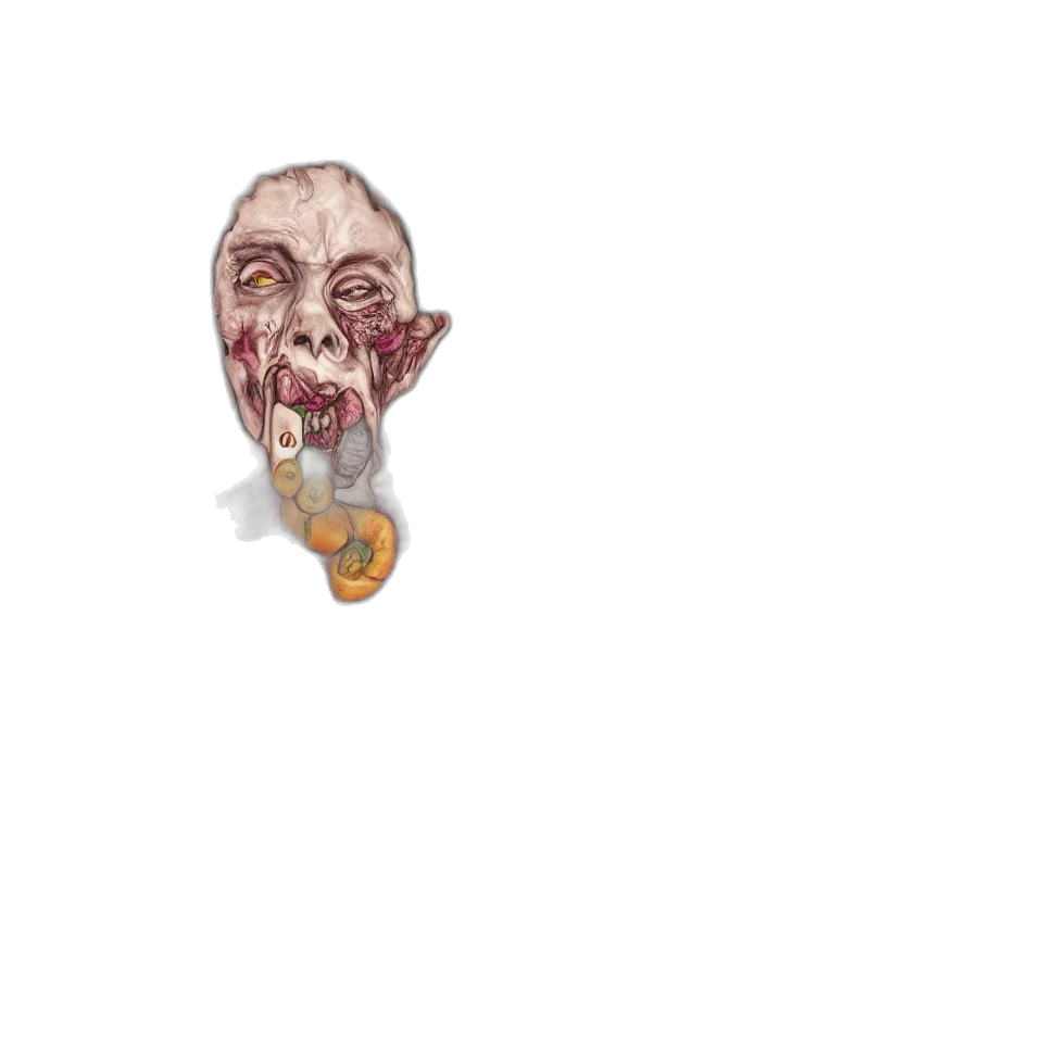 mask, face, creature, jewelry transparent PNG cut-out