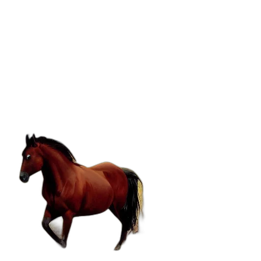 animal, creature, hat, hair transparent PNG cut-out
