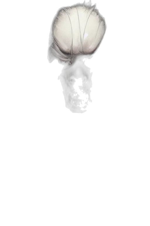 face, mask, creature, bottle transparent PNG cut-out
