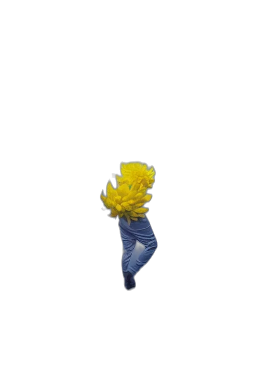 flower, hair, creature, weapon transparent PNG cut-out