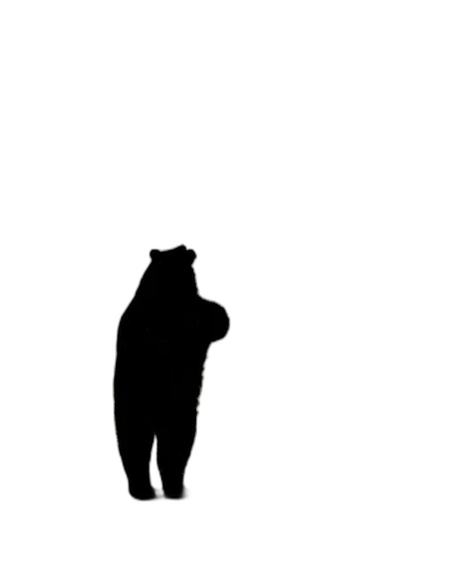 animal, creature, staff, face transparent PNG cut-out