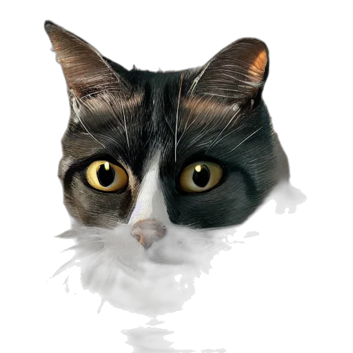 face, animal, creature, mask transparent PNG cut-out