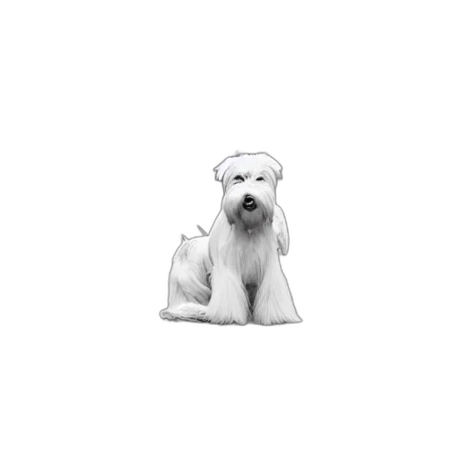 animal, staff, hat, creature transparent PNG cut-out