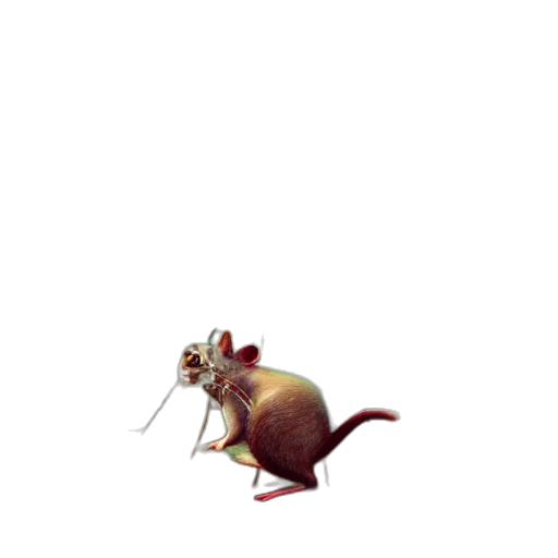 animal, creature, staff, dragon transparent PNG cut-out