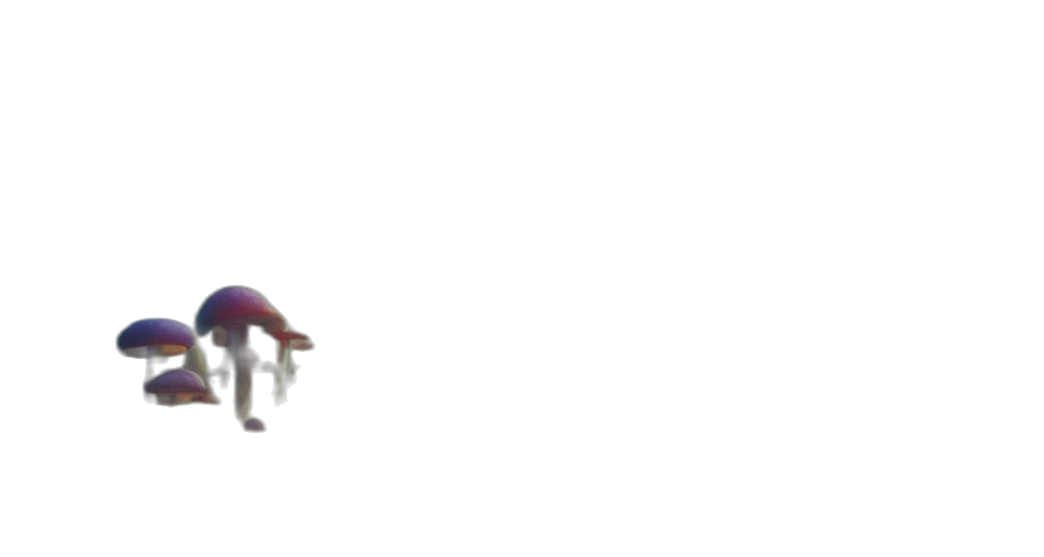 creature, staff, shoes, robot transparent PNG cut-out