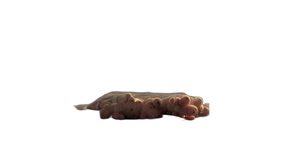animal, creature, staff, food transparent PNG cut-out