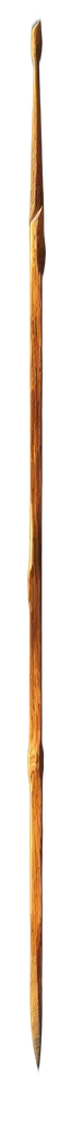 staff, sword, weapon, umbrella transparent PNG cut-out