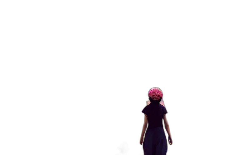 dress, hat, mask, umbrella transparent PNG cut-out