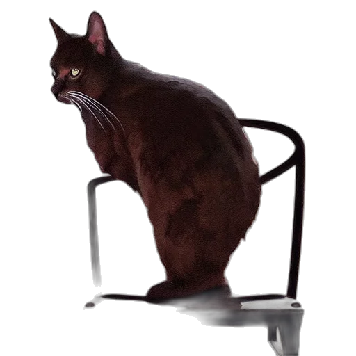 animal, furniture, creature, staff transparent PNG cut-out