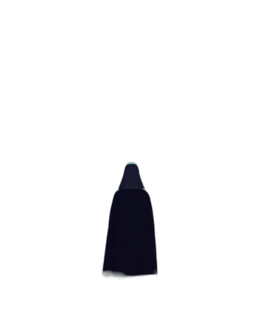 dress, hat, jacket, umbrella transparent PNG cut-out