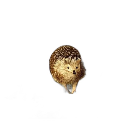 animal, creature, hair, hat transparent PNG cut-out