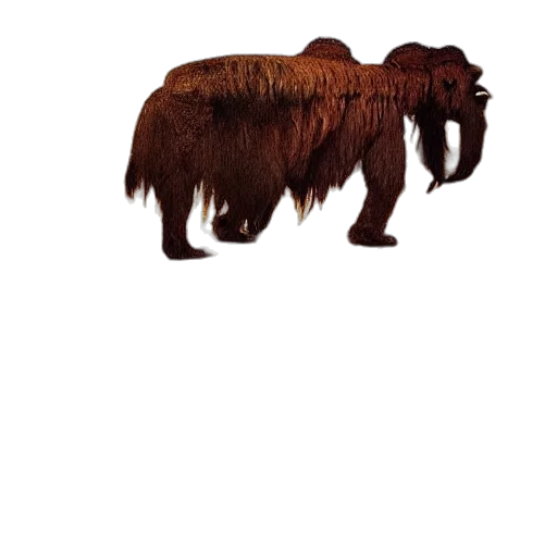 animal, hair, creature, staff transparent PNG cut-out