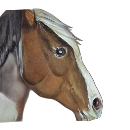 animal, mask, face, hat transparent PNG cut-out