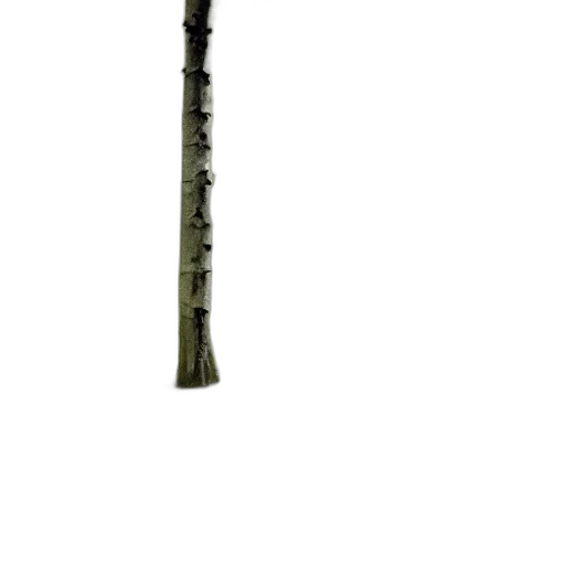 staff, weapon, sword, umbrella transparent PNG cut-out