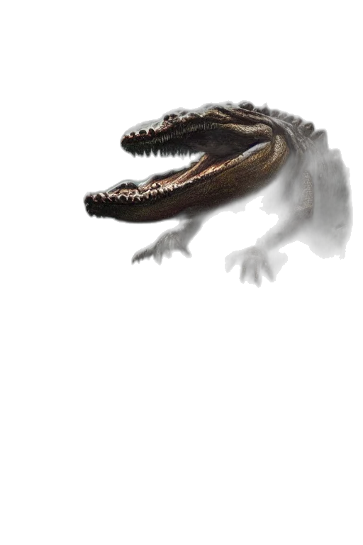 dragon, creature, animal, weapon transparent PNG cut-out