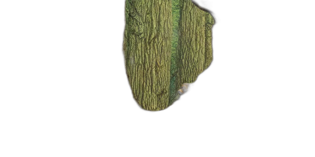 tree, crown, mask, hat transparent PNG cut-out