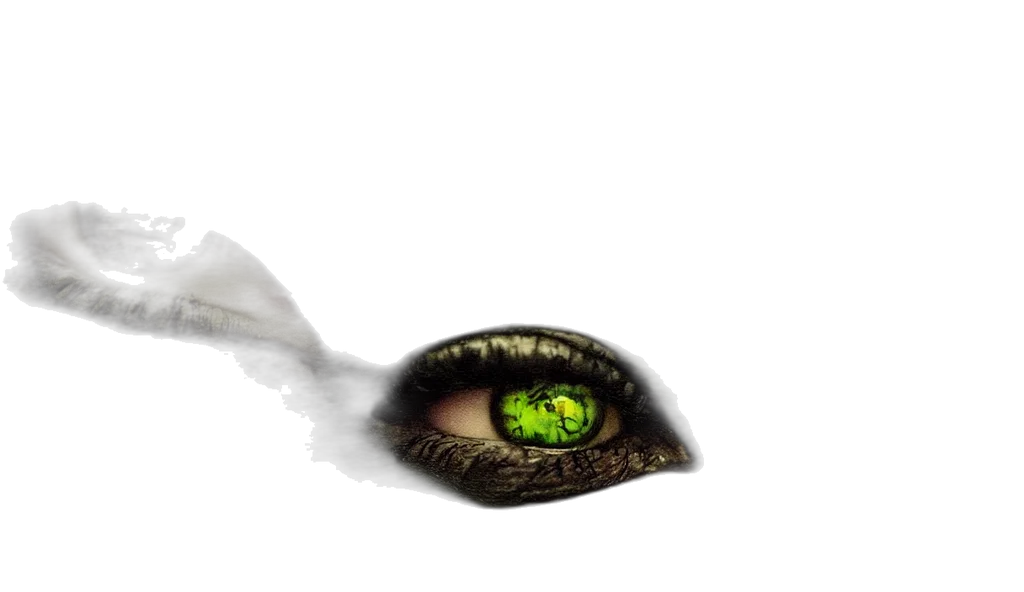 dragon, mask, creature, face transparent PNG cut-out