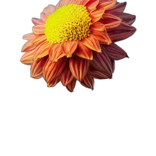 flower, crown, jewelry, staff transparent PNG cut-out