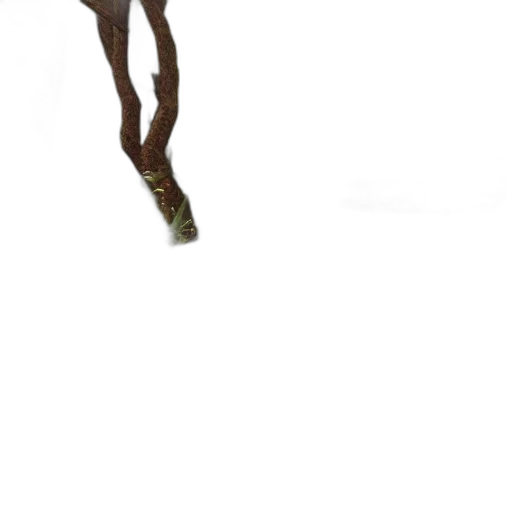 creature, staff, animal, shoes transparent PNG cut-out