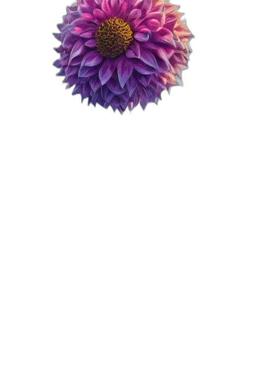 flower, crown, umbrella, hair transparent PNG cut-out