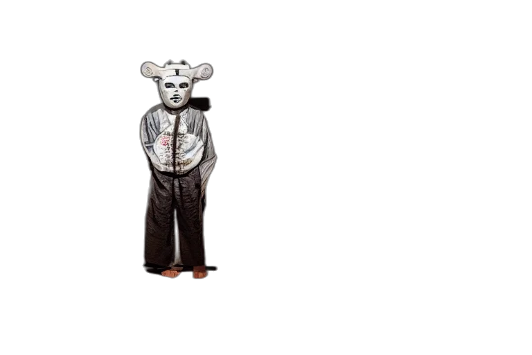 animal, mask, staff, jacket transparent PNG cut-out