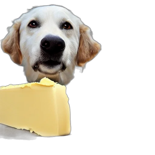 food, animal, face, creature transparent PNG cut-out