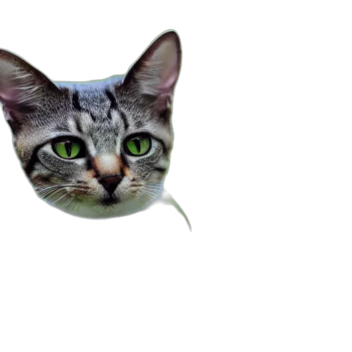 animal, creature, mask, face transparent PNG cut-out