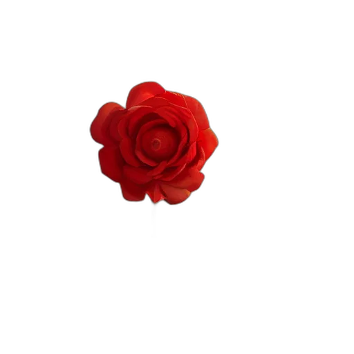 flower, crown, jewelry, staff transparent PNG cut-out