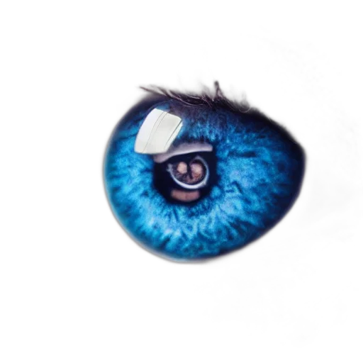 mask, creature, animal, face transparent PNG cut-out