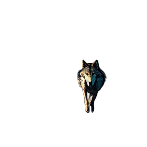 animal, creature, dragon, staff transparent PNG cut-out