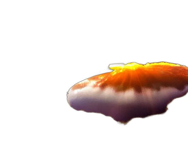 crown, hair, food, creature transparent PNG cut-out