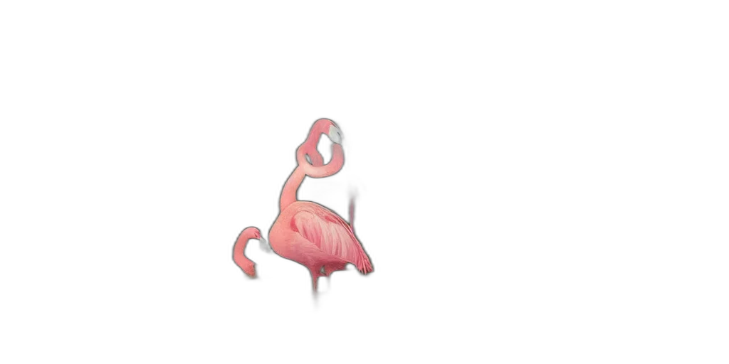 animal, creature, dragon, hat transparent PNG cut-out